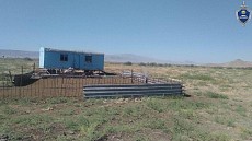 В Джизакской области украли мелкий рогатый скот на сумму 300 млн. сумов
