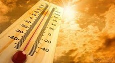 В понедельник на всей территории Узбекистана столбик термометра преодолеет 40-градусную отметку