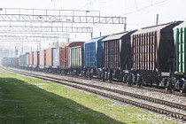 Госбюджет Узбекистана покроет 50% расходов на транспортировку отечественным экспортерам