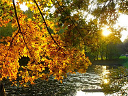 В Кашкадарьинской и Сурхандарьинской областях температура воздуха прогреется до 37 градусов