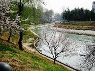 В субботу практически на всей территории Узбекистана температура воздуха приблизится к 40-градусной отметке