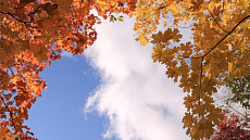 Облачно и жарко будет на всей территории Узбекистана в среду