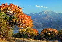 Около 40 градусов тепла прогнозируется в Кашкадарьинской и Сурхандарьинской областях