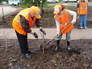 В Узбекистане безработных привлекут к общественным работам