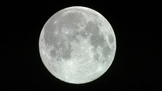 NASA отказалось от проекта создания лунохода для поиска воды, в который уже вложено $100 млн