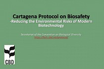 В Узбекистане вступил в силу Картахенский протокол по биобезопасности