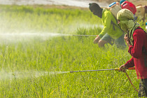 Узбекистан стал участником Стокгольмской конвенции о стойких органических загрязнителях