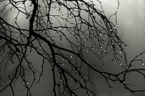 Незначительное потепление прогнозируют синоптики на всей территории Узбекистана в четверг