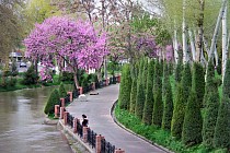 В пятницу на всей территории Узбекистана прогнозируется сухая жаркая погода