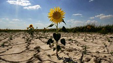 Меры адаптации к изменению климата необходимы для Центральной Азии - ЦАМЭФ