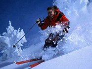 В Узбекистане создадут сразу четыре федерации по зимним видам спорта