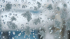 Дождь с возможным переходом в снег прогнозируют синоптики в большинстве областей Узбекистана в воскресенье