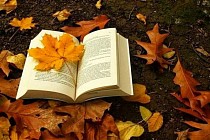 Погода без осадков сохранится во всем Узбекистане в среду