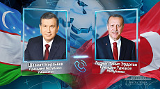 Глава Узбекистана поздравил президента Турции с переизбранием