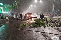 В Ташкенте снегопад привел к отключениям энергии