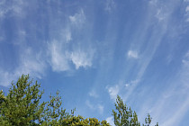 Погода без осадков ожидается в Каракалпакстане, Хорезмской области и Ферганской долине во вторник