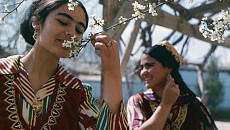 В пятницу на всей территории Узбекистана прогнозируется понижение средней температуры