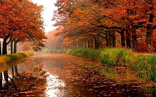 Сурхандарё вилоятида ҳаво ҳарорати 17 даражагача қизийди  