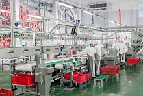 В Ташкентской области планируют построить птицеперерабатывающую фабрику на 10 млн евро