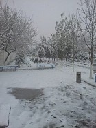 В Узбекистане наблюдается аномальный холод