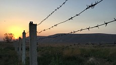 На кыргызско-узбекской границе задержан контрабандный груз
