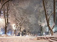 Морозная погода во вторник прогнозируется во всем Узбекистане