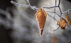 Шанба куни бутун Ўзбекистон ҳудудида туман ва ёғингарчилик бўлиши прогноз қилинмоқда 