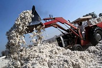 Хлопково-текстильный кластер в Андижанской области даст экспорт в $23 млн