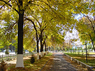 В пятницу на всей территории Узбекистана сохранится погода без осадков