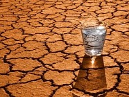 Узбекистан вошел в список стран с высоким дефицитом воды