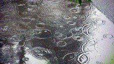 Чоршанба куни фақат Тошкент ва Фарғона водийсида ёмғир ёғиб, момоқалдироқ бўлиши кутилмоқда