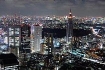 В Токио проходит узбекско-японский бизнес-форум
