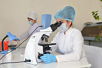 В Узбекистане планируют создать национальную базу ДНК