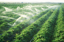 Узбекистан возместит часть затрат фермерам, внедрившим водосберегающие технологии орошения