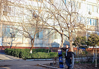 В субботу на большей части территории Узбекистана прогнозируется погода без осадков