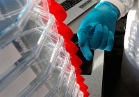 В Иране открыт первый в Западной Азии центр по производству человеческих клеток