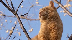 Пайшанба куни Ўзбекистоннинг барча ҳудудларида ёғингарчилик бўлмайди