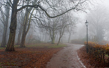 Сразу в нескольких областях Узбекистана в пятницу температура воздуха прогреется до 15 градусов