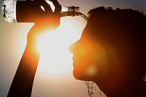 В ряде областей Узбекистана в пятницу температура воздуха прогреется до 45 градусов