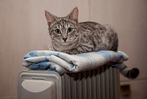 В Ташкенте начинается отопительный сезон