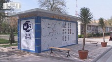 В Ташкенте планируют установить 61 общественный биотуалет с бесплатным Wi-Fi