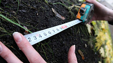 Предприниматели, которые построят туалеты по типовым проектам в Узбекистане, получат землю без аукциона 