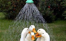 В ряде областей Узбекистана в понедельник температура воздуха прогреется до 45 градусов