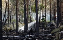 Швеция попросила помощи ЕС в связи с лесными пожарами