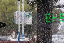 В Каракалпакстане во вторник прогнозируется кратковременный дождь