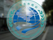 В Китае заявили о важной роли ШОС в борьбе с наркотрафиком из Афганистана