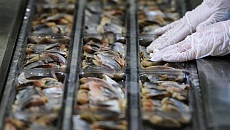 Уровень потребления рыбы на душу населения в Центральной Азии в 10 раз меньше мирового – ФАО