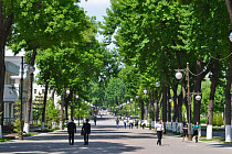 На всей территории Узбекистана сохранится прохладная погода без осадков в пятницу