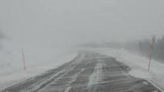 Трасса «Алматы–Ташкент–Термез» закрыта из-за гололеда в ЮКО