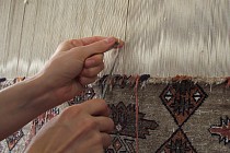 Узбекистан открыл новые торговые дома в США